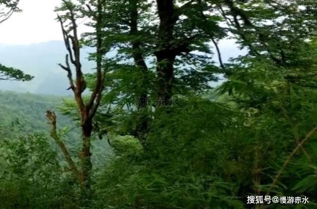 探寻知识星球平台-专注这样算闯红绿灯吗的精英聚集地