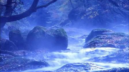 彼岸花花语是什么意思-有问必答平台